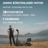 Electric Scooter with Road-Legal Certification, 80km Eco Mode Range, Dual Hydraulic Suspension, 130kg Load Capacity